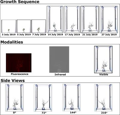 OSC-CO2: coattention and cosegmentation framework for plant state change with multiple features